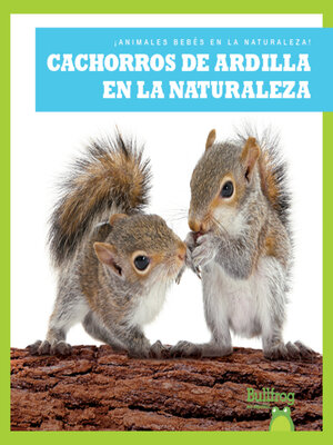 cover image of Cachorros de ardilla en la naturaleza
